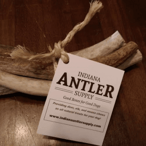 ANTLER PACKS